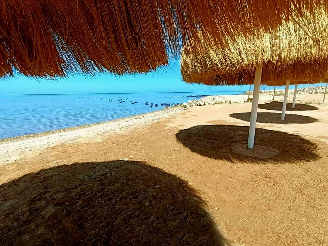 WhatsApp Image 2026-09-28 at 13.43.23 (2) Shaded beach seating at Premier Beach resort Hurghada
