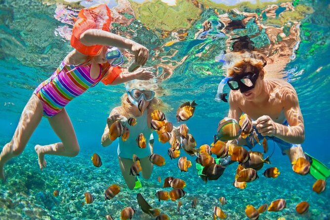 Two snorkellers observing colourful fish in clear water