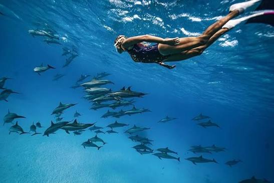 A swimmer above a school of fish underwater